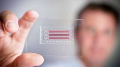 Ученые из Пущина разработали защитное соединение для микрочипов