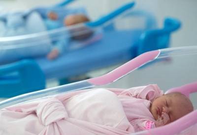 За десять лет рождаемость в Украине упала на 40%
