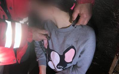 В Киеве 8 марта спасатели вызволяли девушку, закованную в ошейник