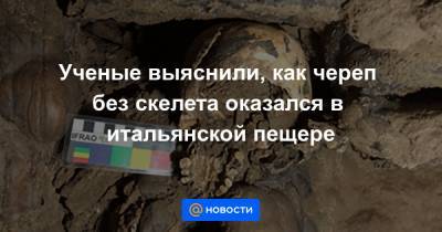 Ученые выяснили, как череп без скелета оказался в итальянской пещере