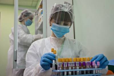 Более 230 новых случаев коронавируса выявлено на Северном Кавказе