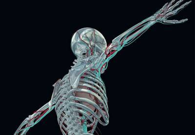 Ученые нашли способ печатать кости прямо внутри организма