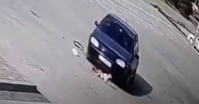 Трижды переехал 4-летнюю девочку: суд освободил 19-летнего водителя от наказания – видео
