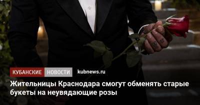 Жительницы Краснодара смогут обменять старые букеты на неувядающие розы