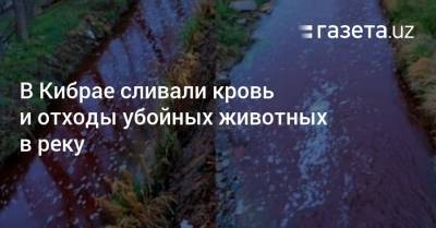 В Кибрае сливали кровь и отходы убойных животных в реку