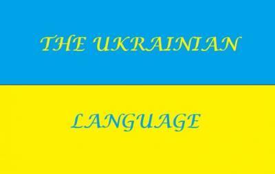 На Украине вторым государственным языком должен стать английский — СНБО