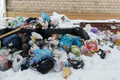 Петрозаводчане пожаловались на контейнеры, «утопающие» в мусоре