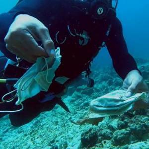 На Филиппинах обнаружили риф, загрязненный медицинскими масками