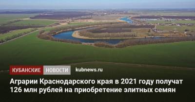 Аграрии Краснодарского края в 2021 году получат 126 млн рублей на приобретение элитных семян