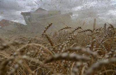 Экспортные цены на пшеницу РФ снизились на прошлой неделе вслед за мировыми