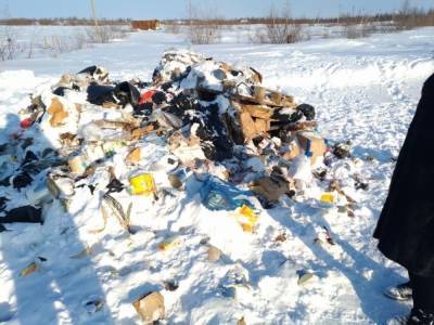 В Новом Уренгое неизвестные устроили несанкционированную свалку шин и мусора