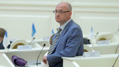 Полиция Петербурга задержала депутата Резника во время обыска