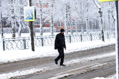 Сильный снег пройдет ночью 10 марта в Пскове и области