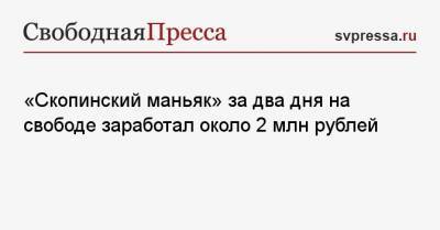 «Скопинский маньяк» за два дня на свободе заработал около 2 млн рублей