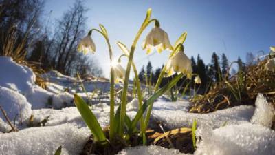 Прогноз погоды на 10 марта: в Украине будет холодно, зато без осадков