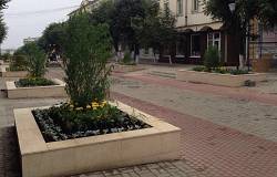 Проект изменения ул. Ленина в Орле обсудят с общественностью