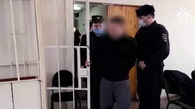 Арестован подозреваемый в убийстве женщины и детей в Подмосковье