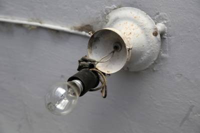 Петербургские экологи за неделю утилизировали почти 1,5 тыс ртутных ламп