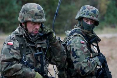 На Донбасс возвращаются воевавшие в «АТО» польские и литовские...