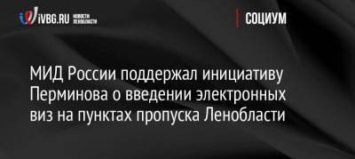 МИД России поддержал инициативу Перминова о введении электронных виз на пунктах пропуска Ленобласти