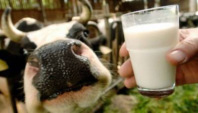 Япония разрешила импорт украинского молока