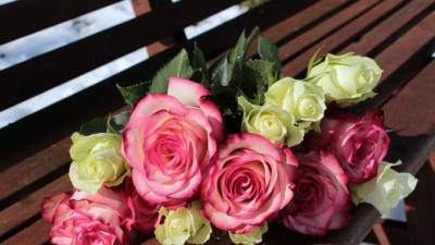 В Петербурге и Ленобласть привезли 4 миллиона цветов за пару месяцев