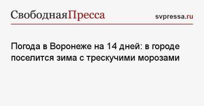 Погода в Воронеже на 14 дней: в городе поселится зима с трескучими морозами