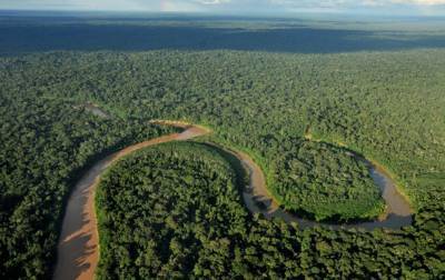 Экологи бьют тревогу: только треть тропических лесов во всем мире нетронута