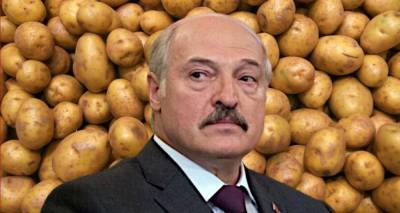 «Нищеброд Лукашенко!» – NEXTA села в лужу с «новым обжигающим...