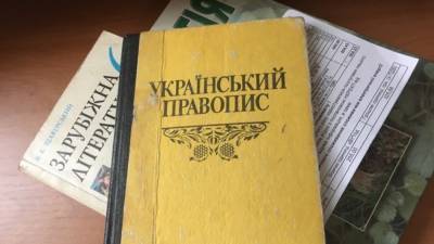 Авторы украинских учебников для детей пропагандируют нацизм и наркотики