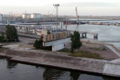 Большой порт Петербурга предлагают перенести в Усть-Лугу