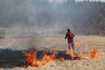 Пожарные остановили пал травы у дач в Смоленке 31 марта