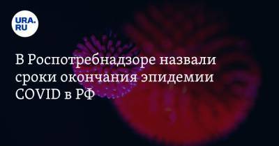 В Роспотребнадзоре назвали сроки окончания эпидемии COVID в РФ