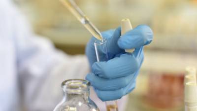 Уральские ученые обнаружили в грибах вещества-убийцы коронавируса