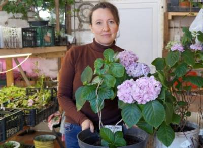 Цветочный сезон - круглый год у садовода Светланы Катаевой из Кунгурского района