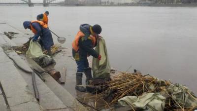 Специалисты очистили от мусора самый грязный участок Невы - piter.tv - Санкт-Петербург