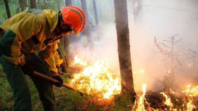 В России прошли учения по тушению лесных пожаров