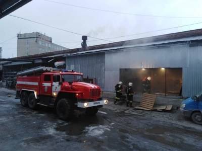 В Екатеринбурге сгорел подпольный террариум вместе с животными