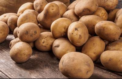 Названы лидеры по производству картофеля на Тернопольщине