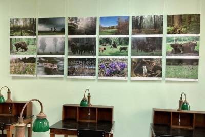 Выставка Приокско-Террасного заповедника открылась в Научной библиотеке МГУ