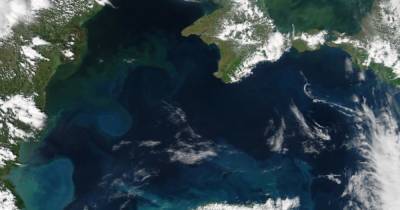 На дне Черного моря ледниковый период еще не закончился, – ученые