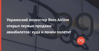 Украинский лоукостер Bees Airline открыл первые продажи авиабилетов: куда и почем полетит