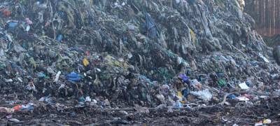 Минприроды Карелии: Строительство мусорного полигона в Сегеже не имеет никаких оснований и подтверждений