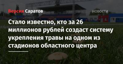 Стало известно, кто за 26 миллионов рублей создаст систему укрепления травы на одном из стадионов областного центра
