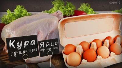 Птицефабрики Дагестана резко увеличат объемы производства яиц
