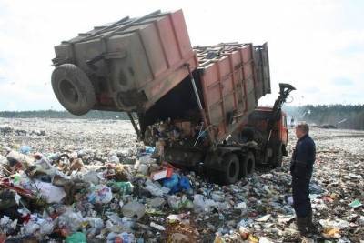 Минприроды Карелии отказалось от строительства мусорного полигона в Сегеже