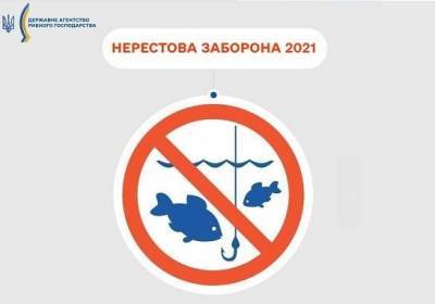 В Украине наступил нерестовый запрет: где и как долго нельзя ловить рыбу и раков