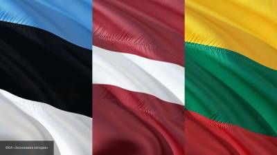 Вмешательство в дела Белоруссии больно ударит по экономике Прибалтики