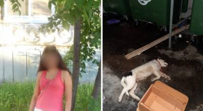 В Уфе нашли женщину, которая выкинула собаку с 10 этажа