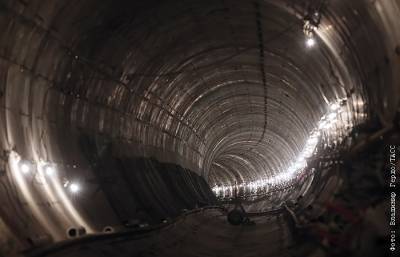 К спустившемуся в тоннель столичного метро пассажиру подадут иск на 1 млн руб.